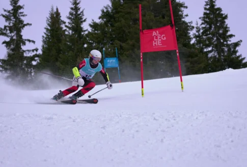 Alpine Skiing, Officials race registrations